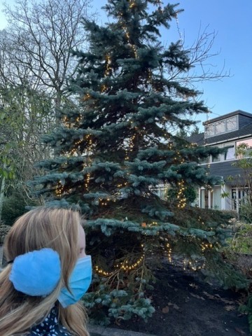 5aad0835 4418 4c0e abc2 b2dc76e202ce