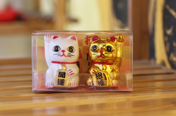 Mini cat pair in box