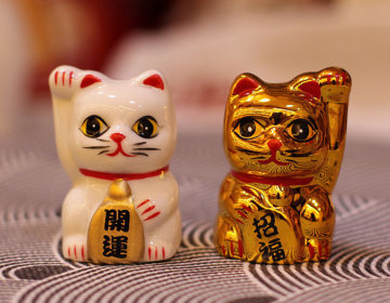 Minicat pair 32x345cm 77g