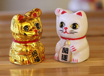 Minicat pair sideways