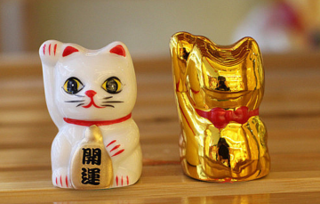 Minicat white front gold back